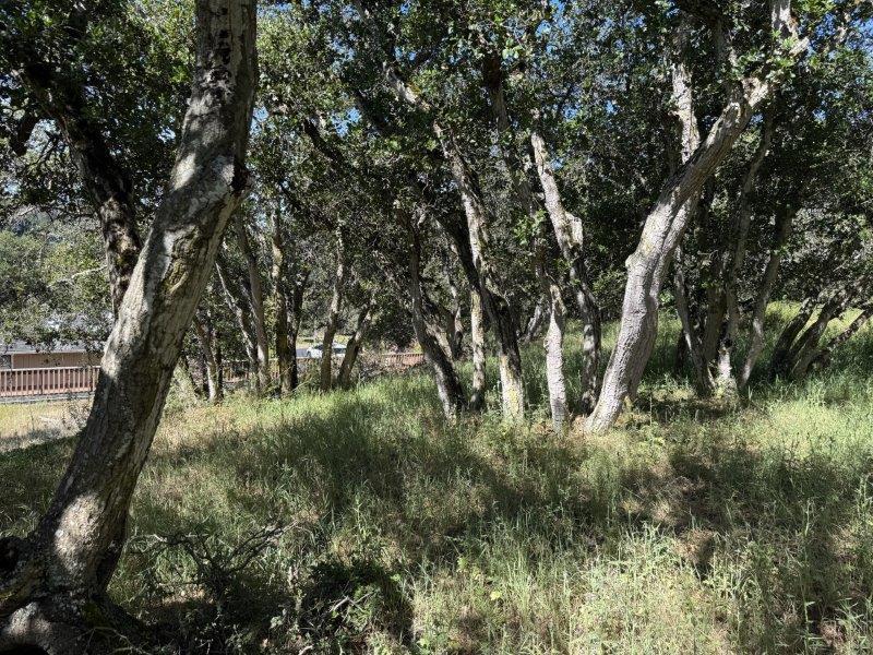 Property photo 21