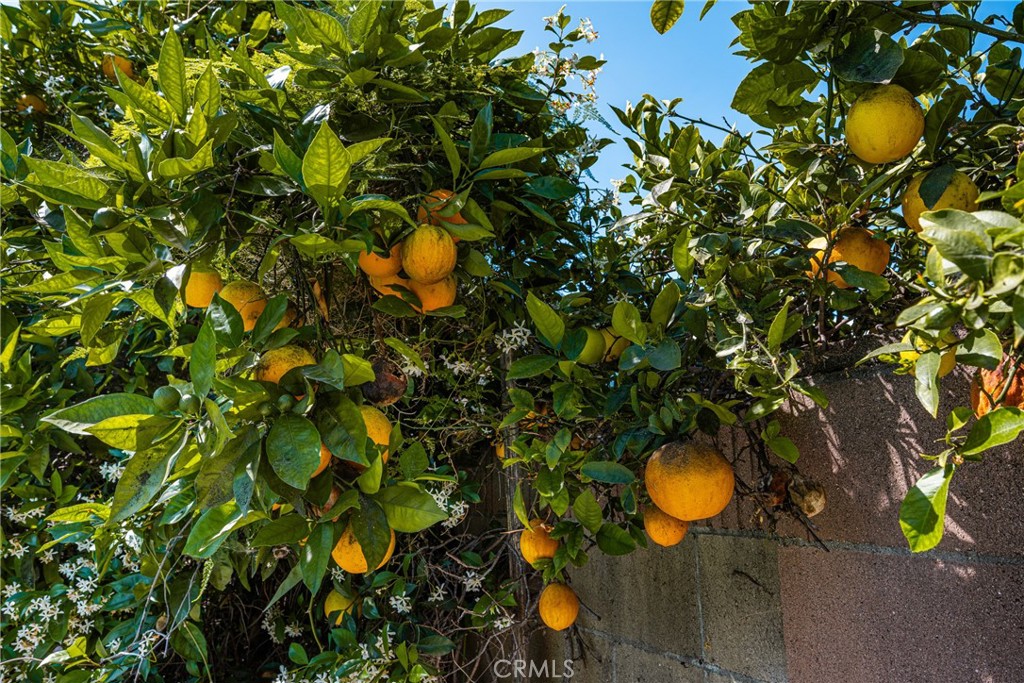 Property photo 50