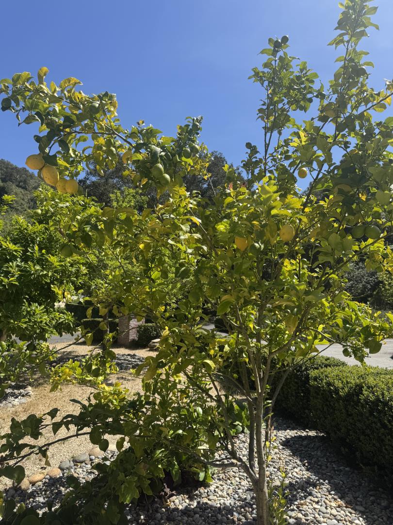 Property photo 13