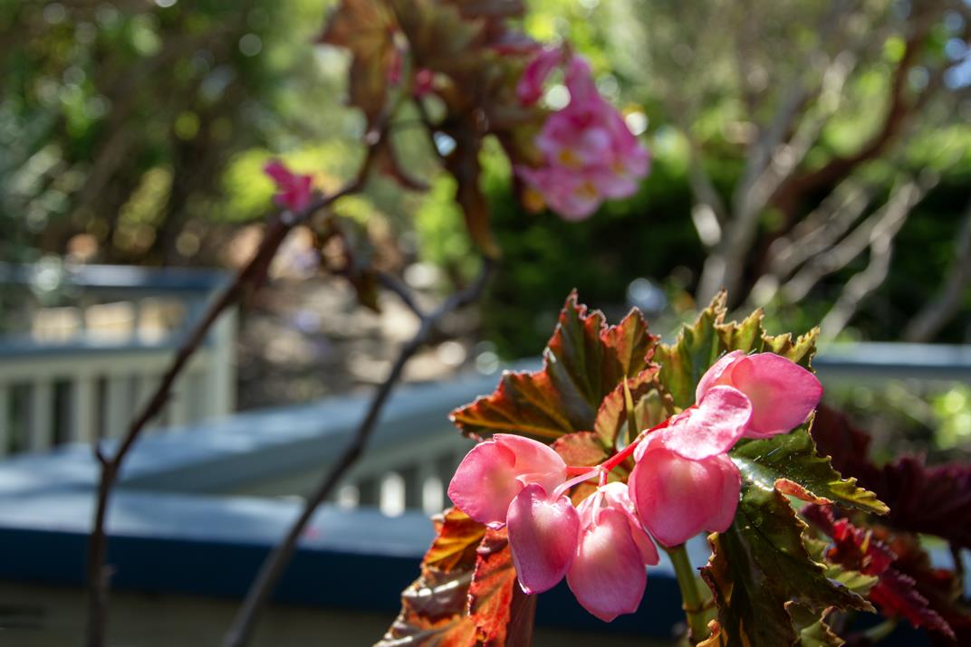 Property photo 40