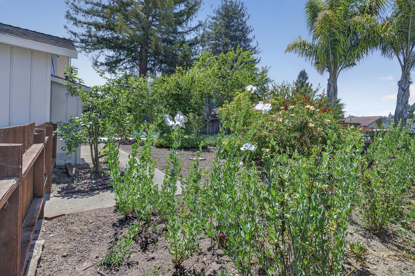 Property photo 50