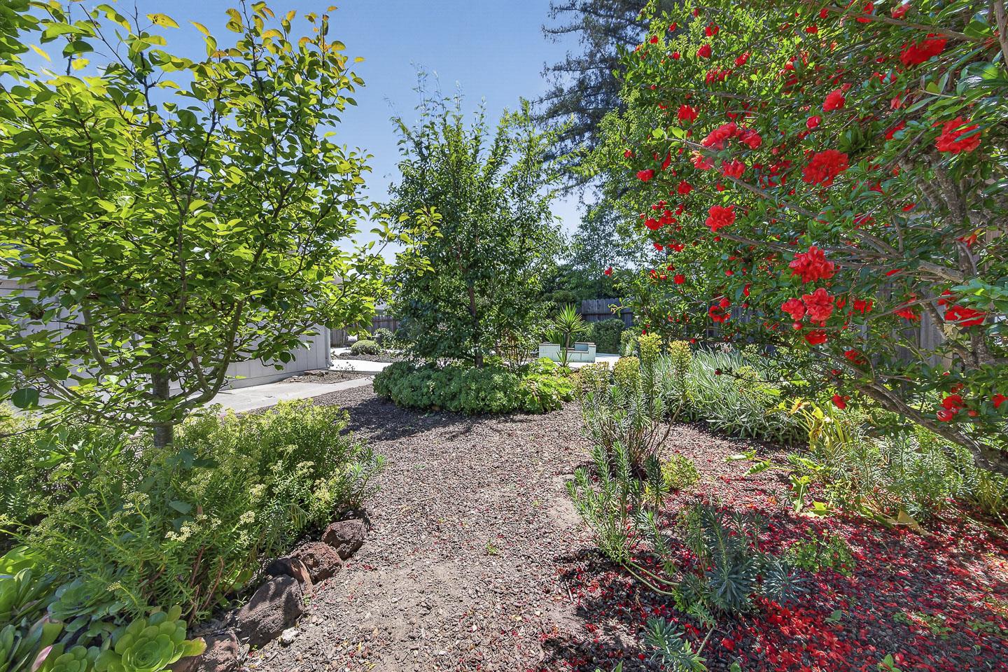 Property photo 51