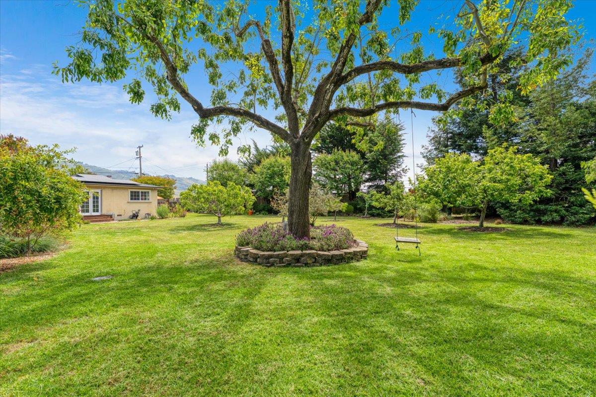 Property photo 40