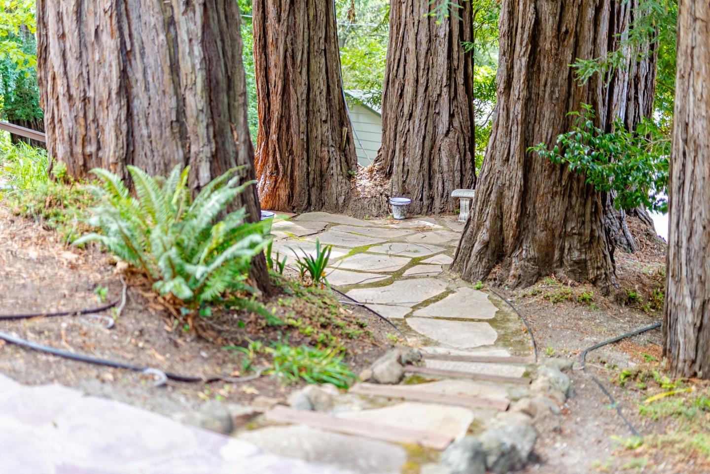 Property photo 45