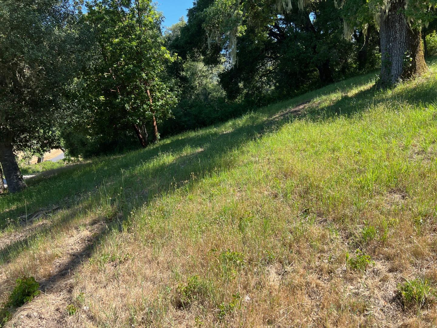 Property photo 16