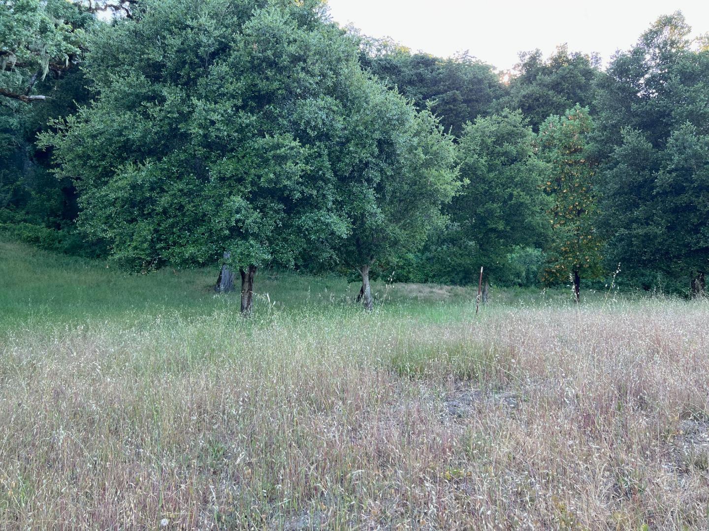Property photo 26