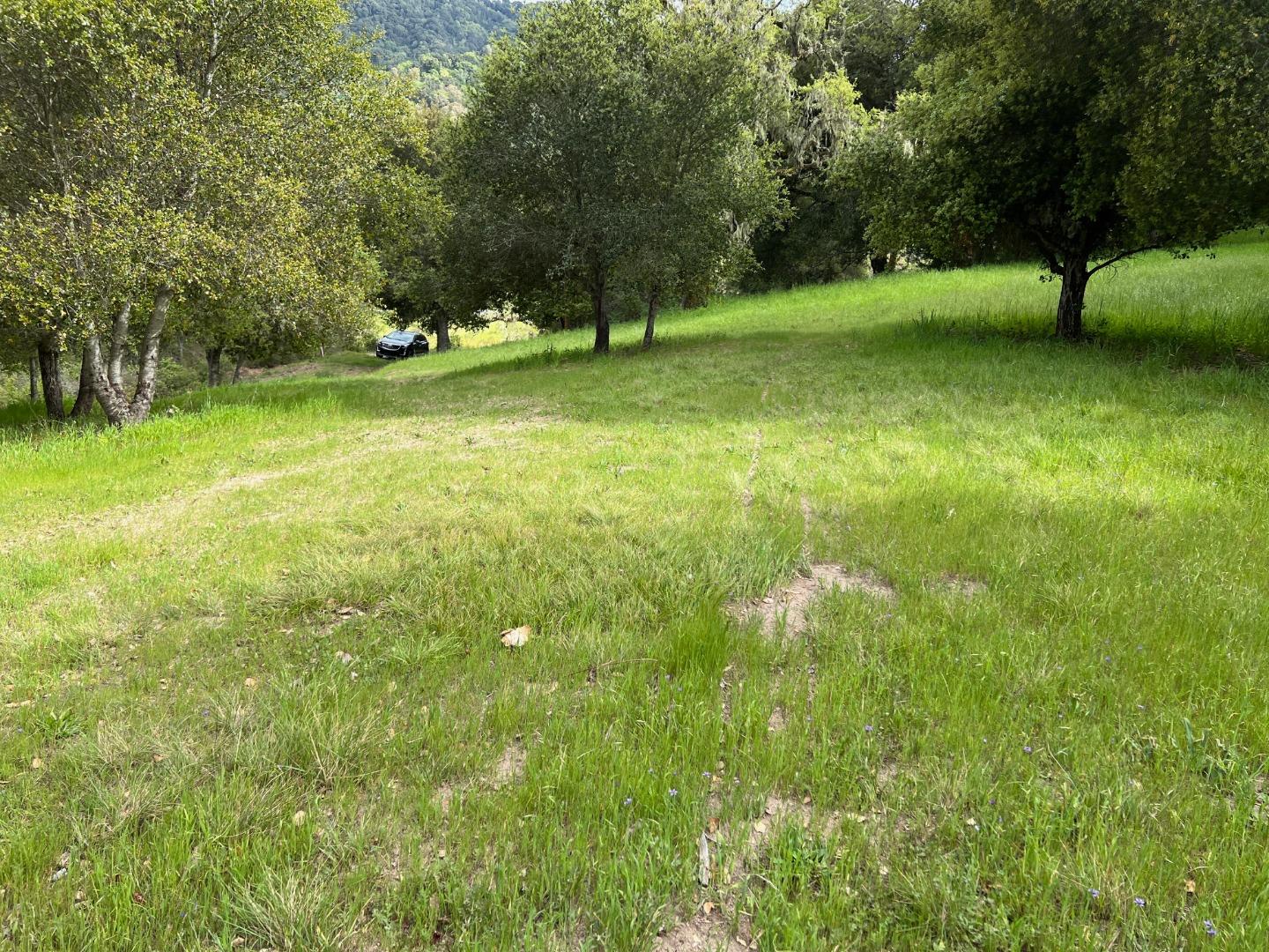 Property photo 34