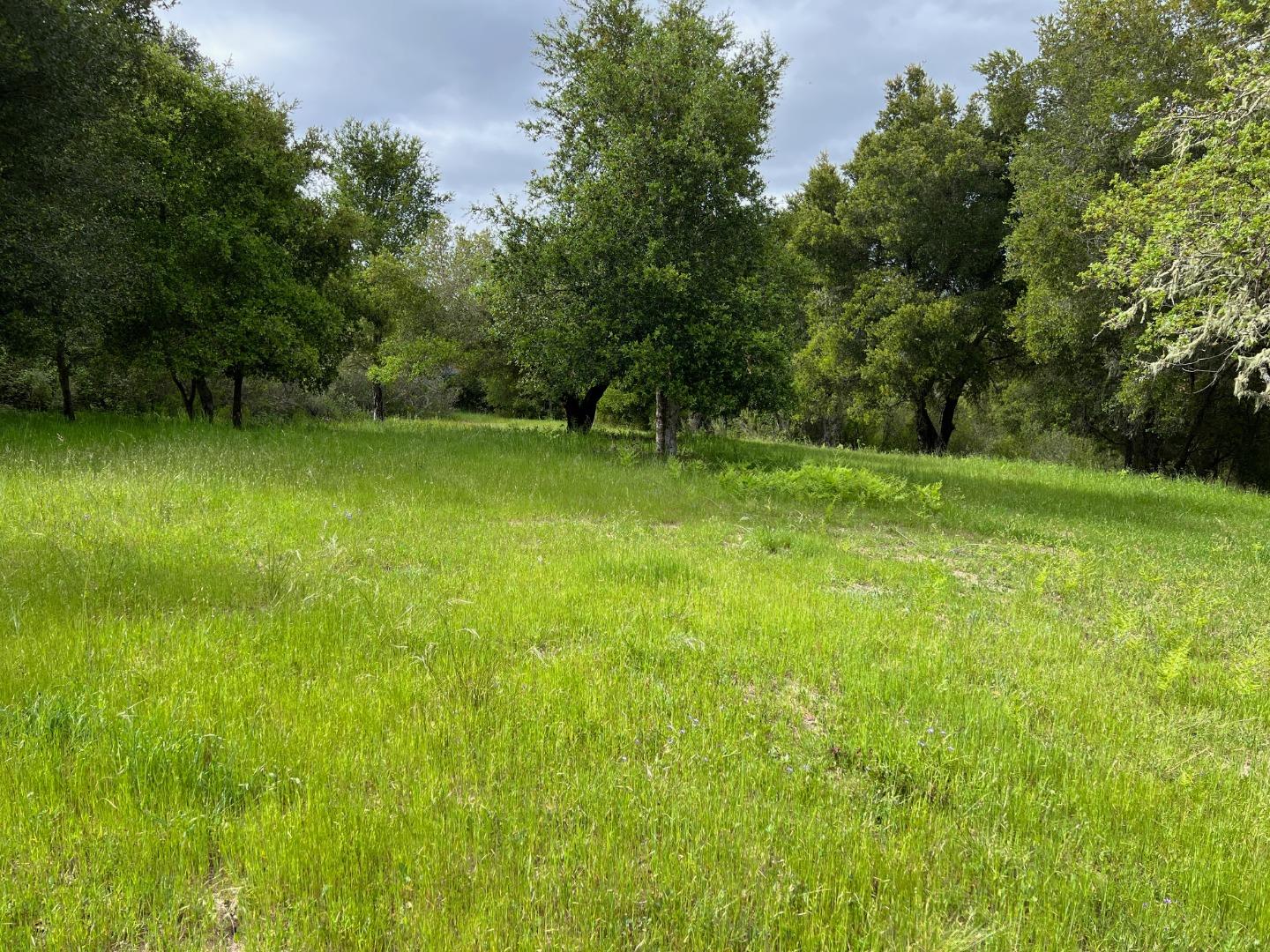 Property photo 36