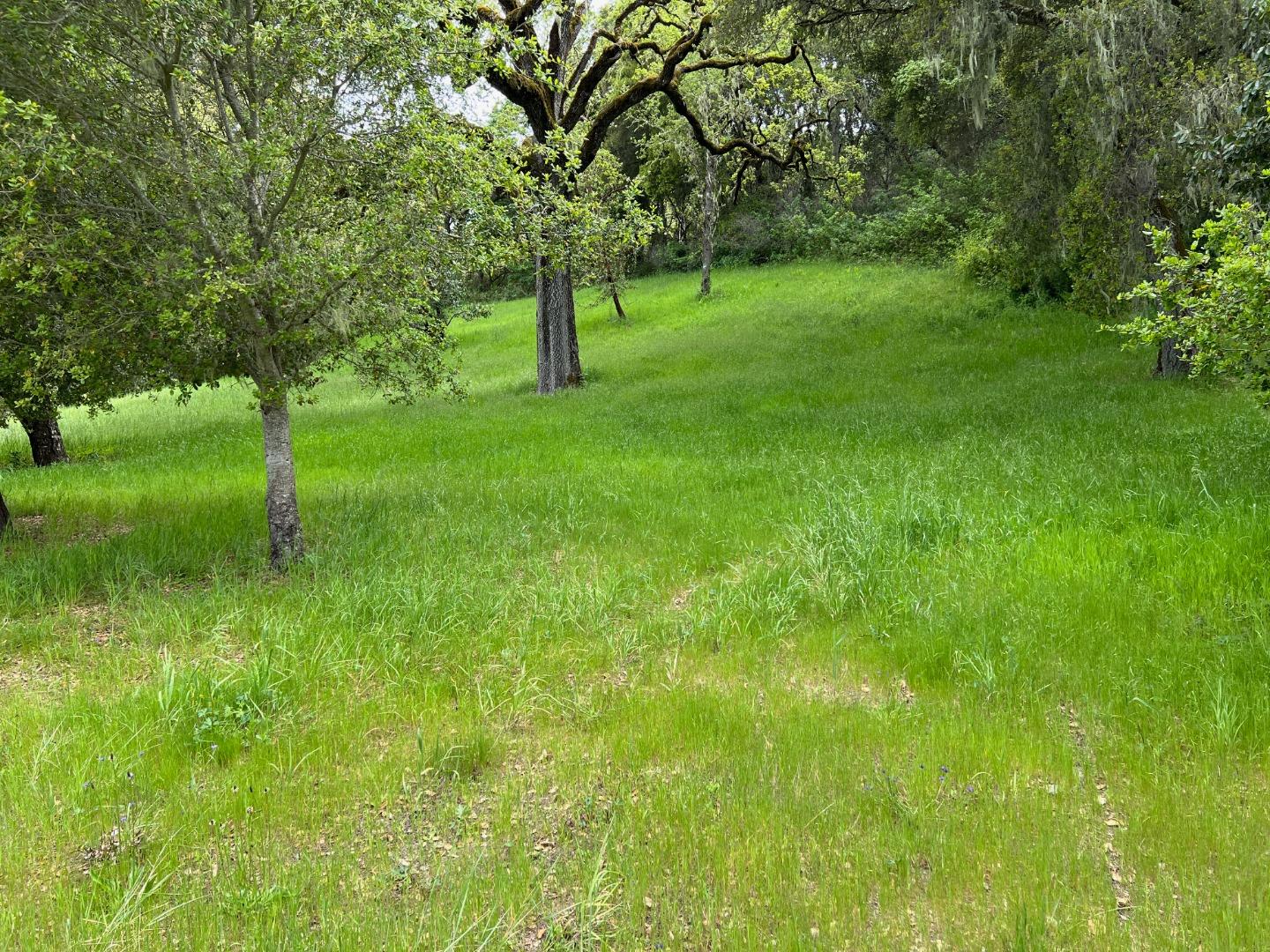 Property photo 37