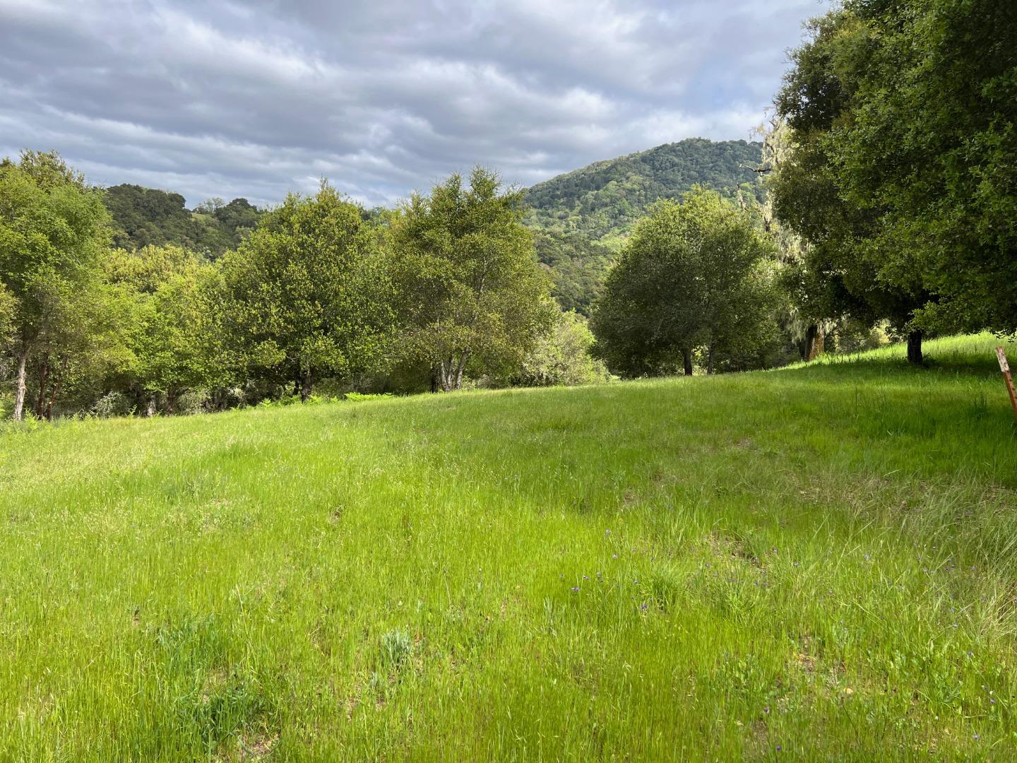 Property photo 38