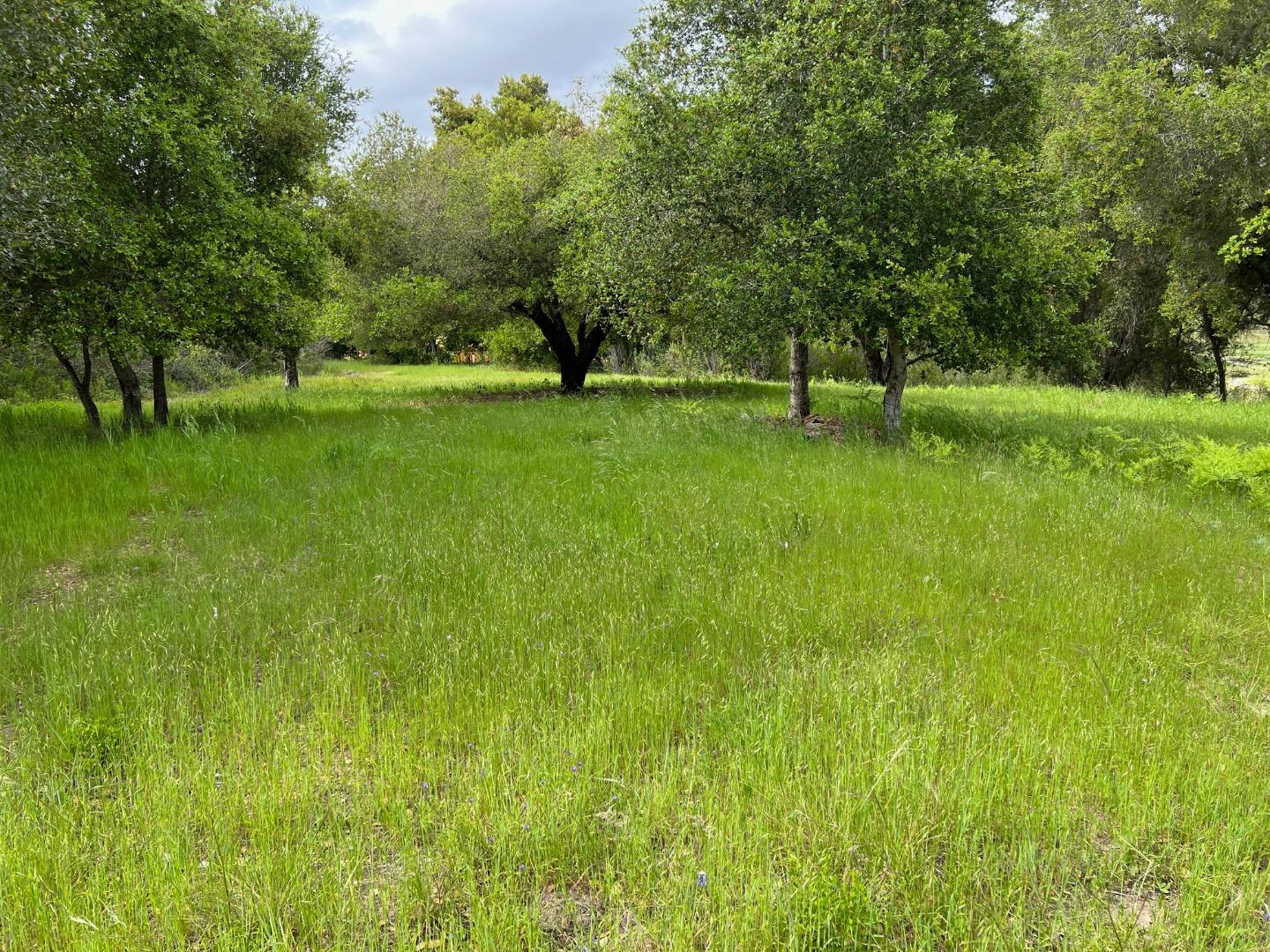 Property photo 40