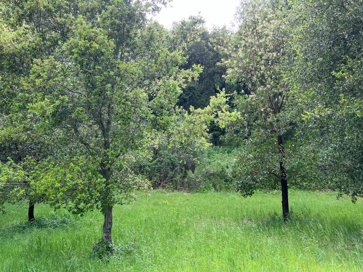 Property photo 42