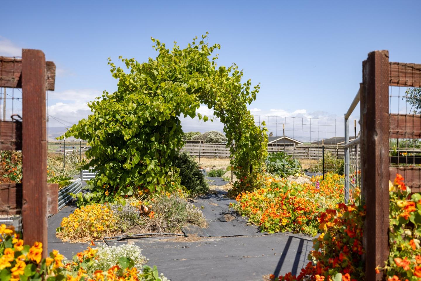 Property photo 24
