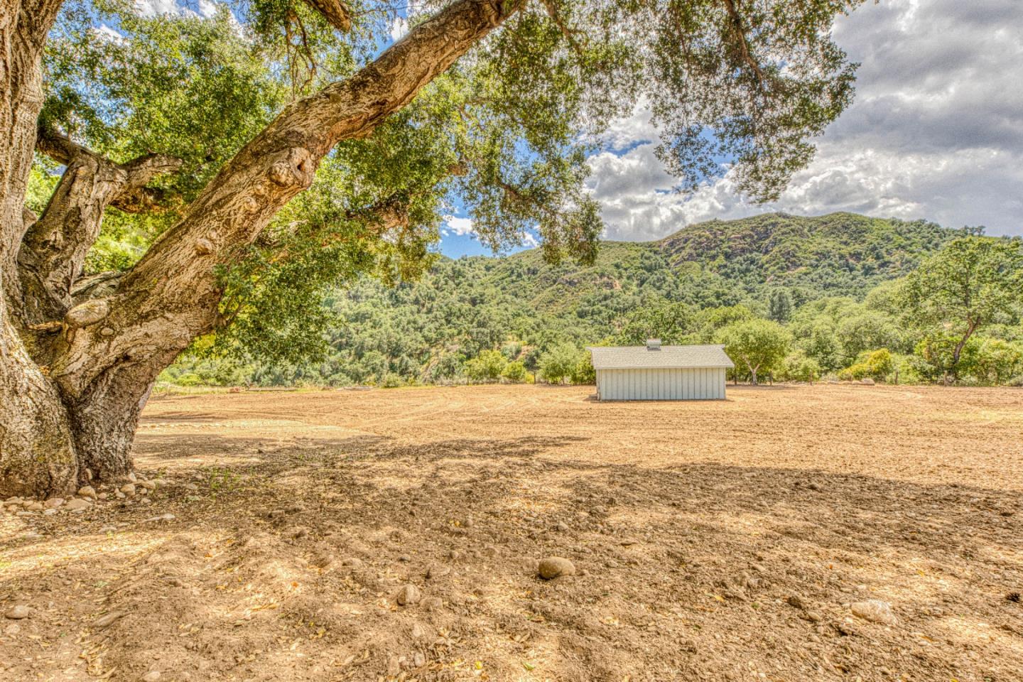 Property photo 43