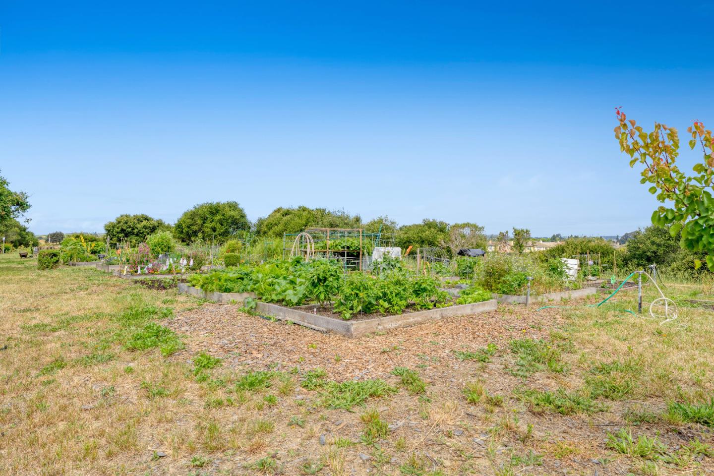 Property photo 34
