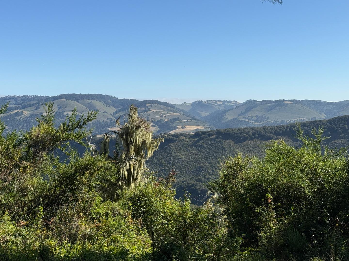 6 Rancho San Carlos Rd