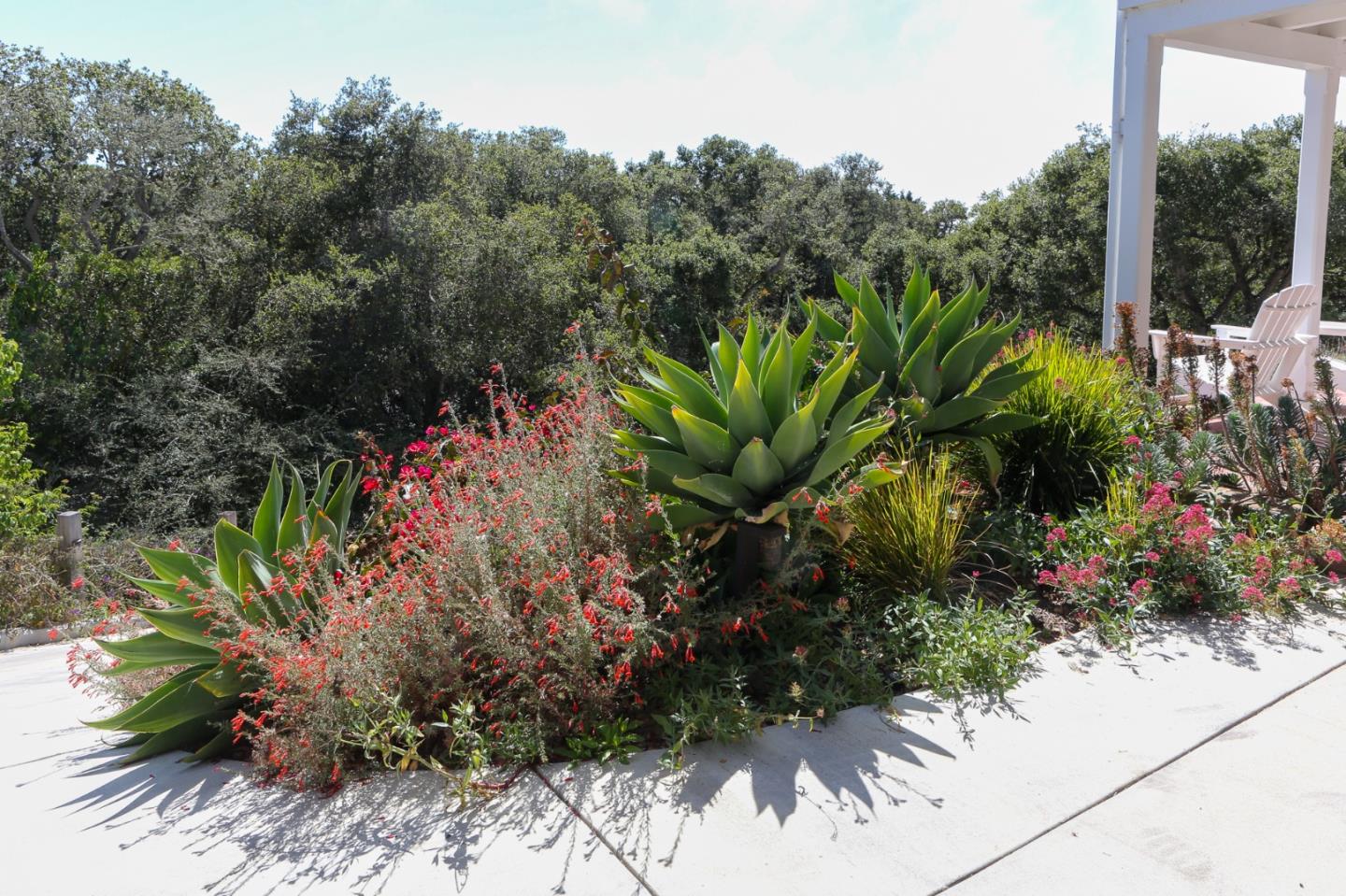 Property photo 21