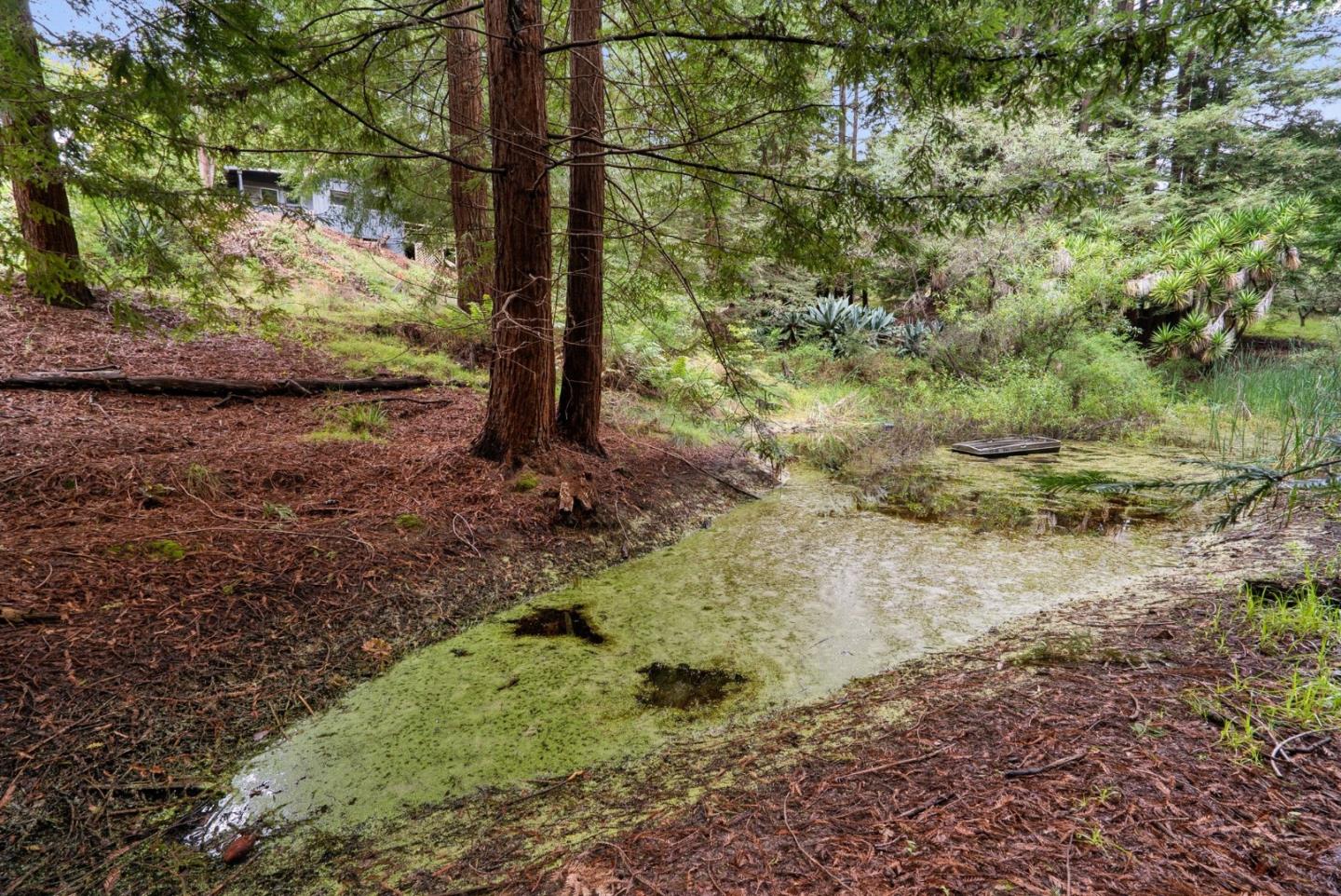 Property photo 41