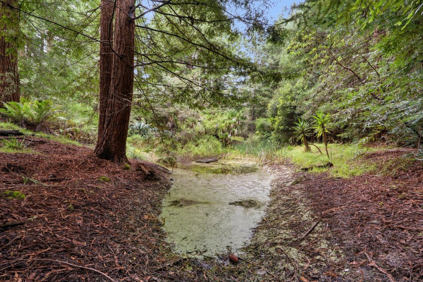 Property photo 42