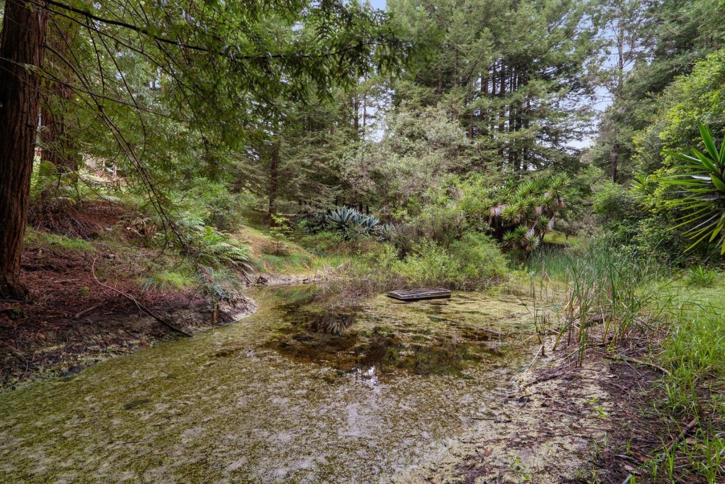 Property photo 43