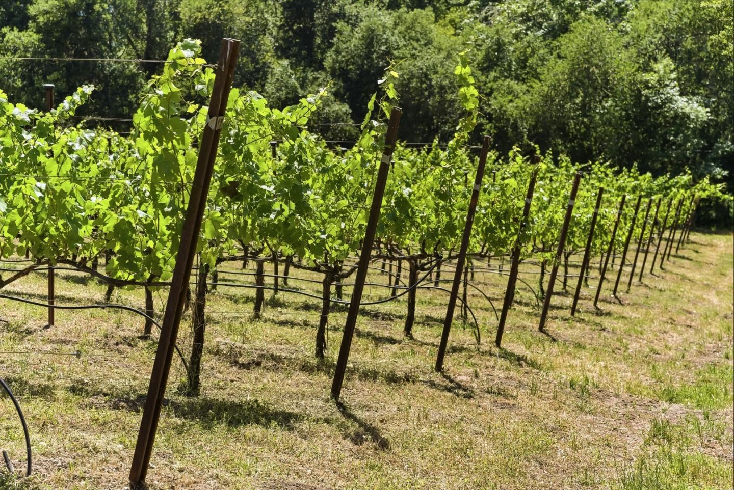 Property photo 20