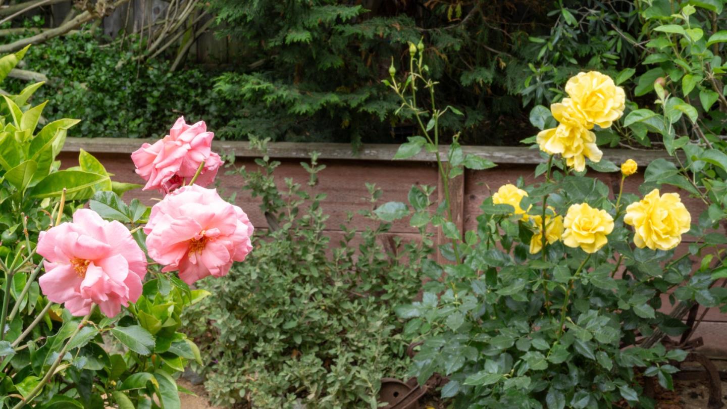 Property photo 45