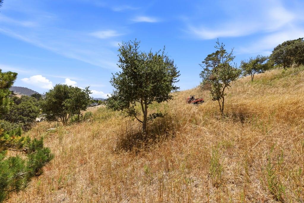Property photo 24