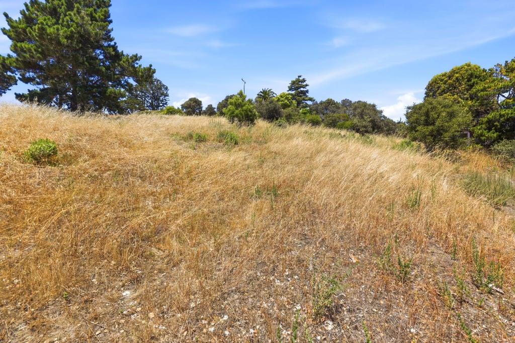 Property photo 35