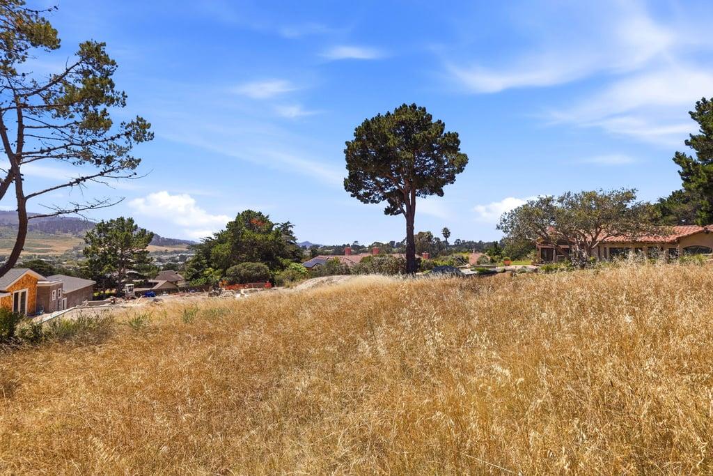 Property photo 36