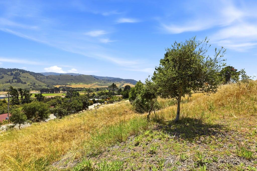 Property photo 37