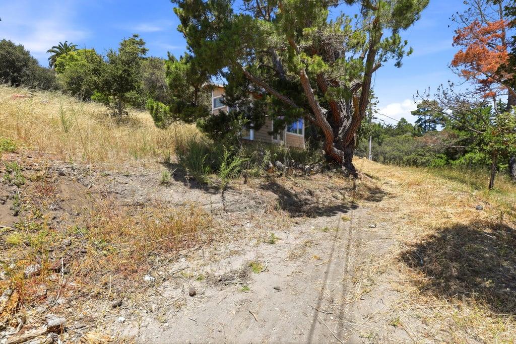 Property photo 40