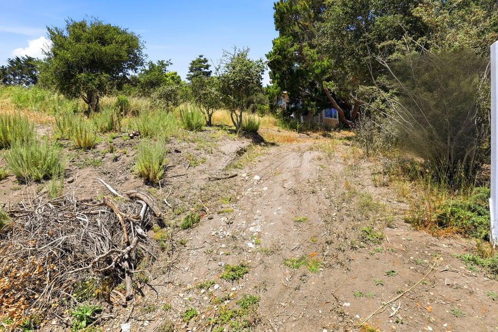 Property photo 45