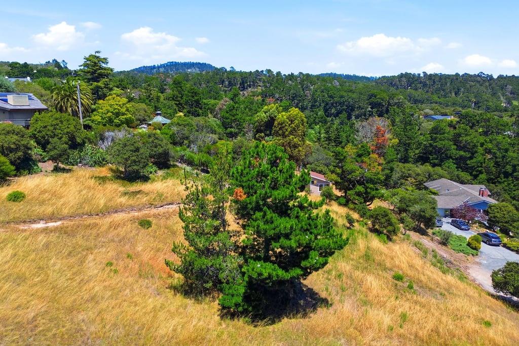 Property photo 47