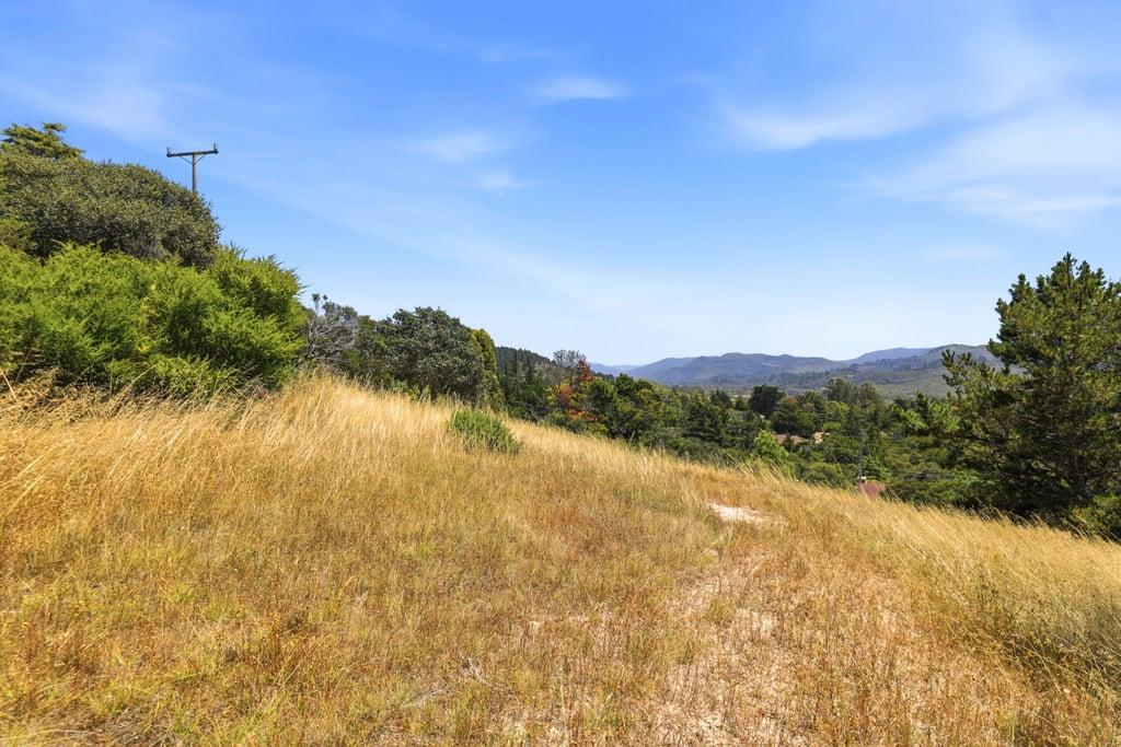 Property photo 49