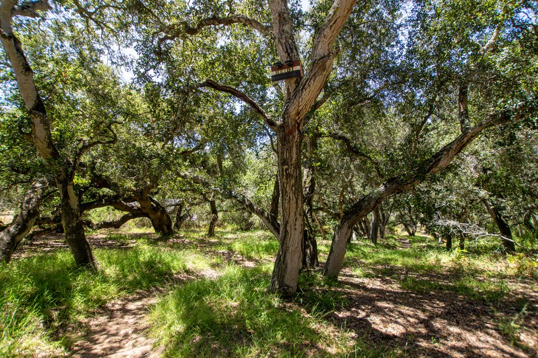 Property photo 41