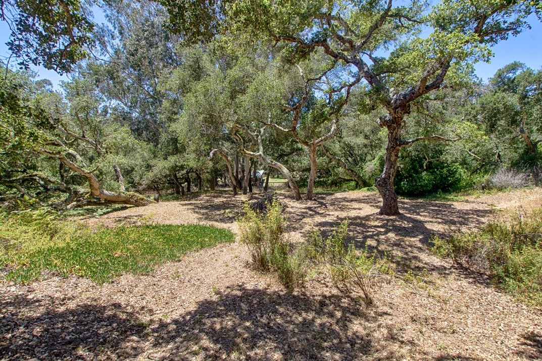 Property photo 45