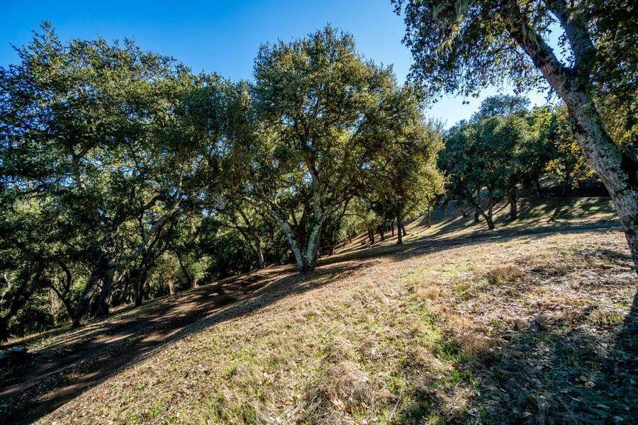 Property photo 31