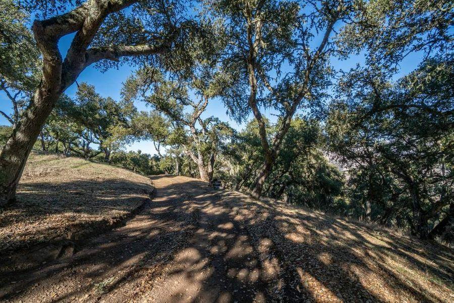 Property photo 33