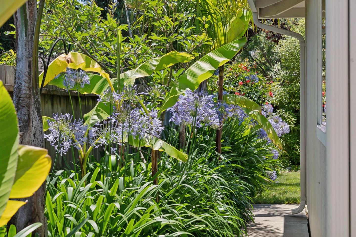Property photo 45