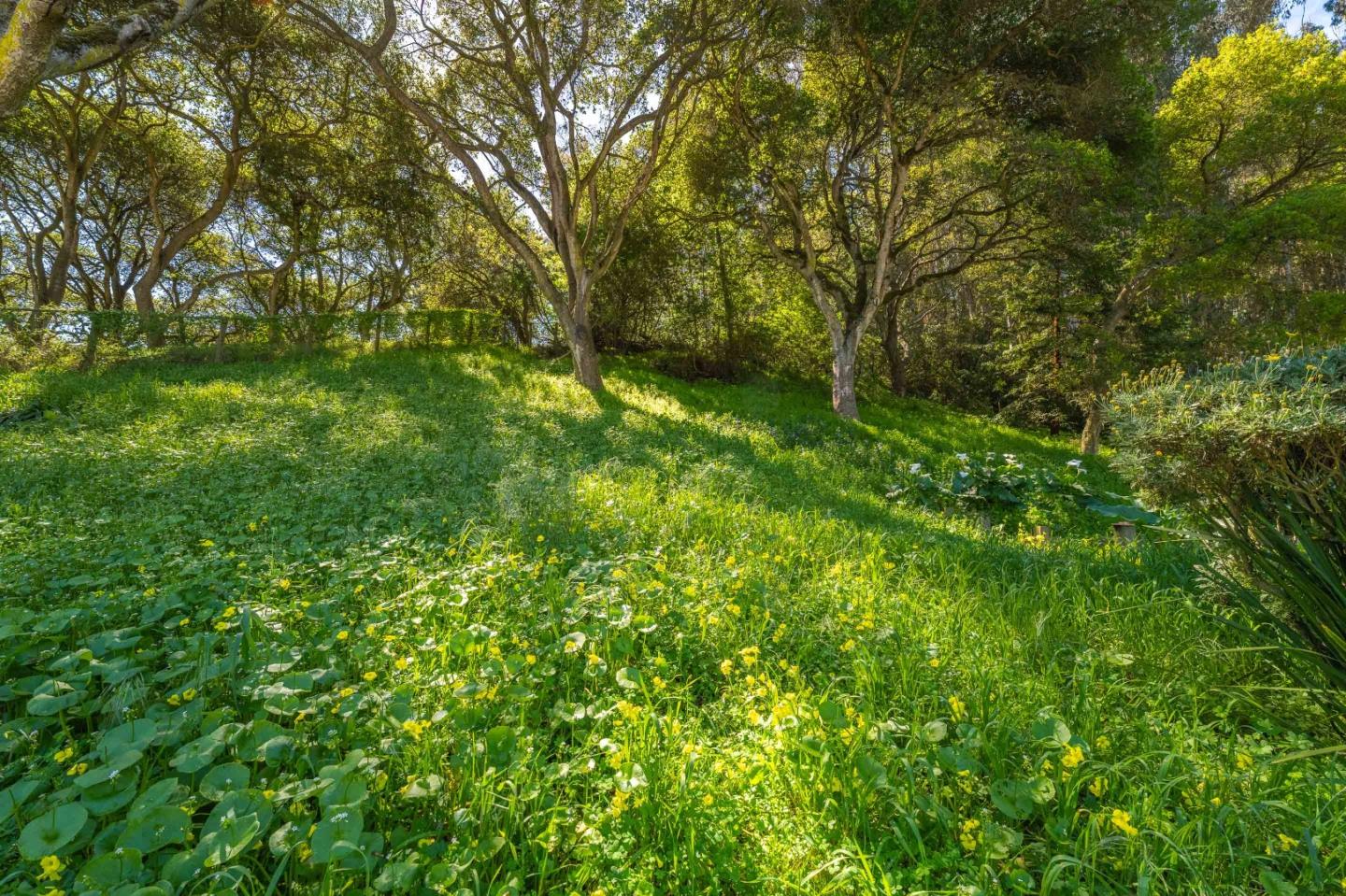 Property photo 48