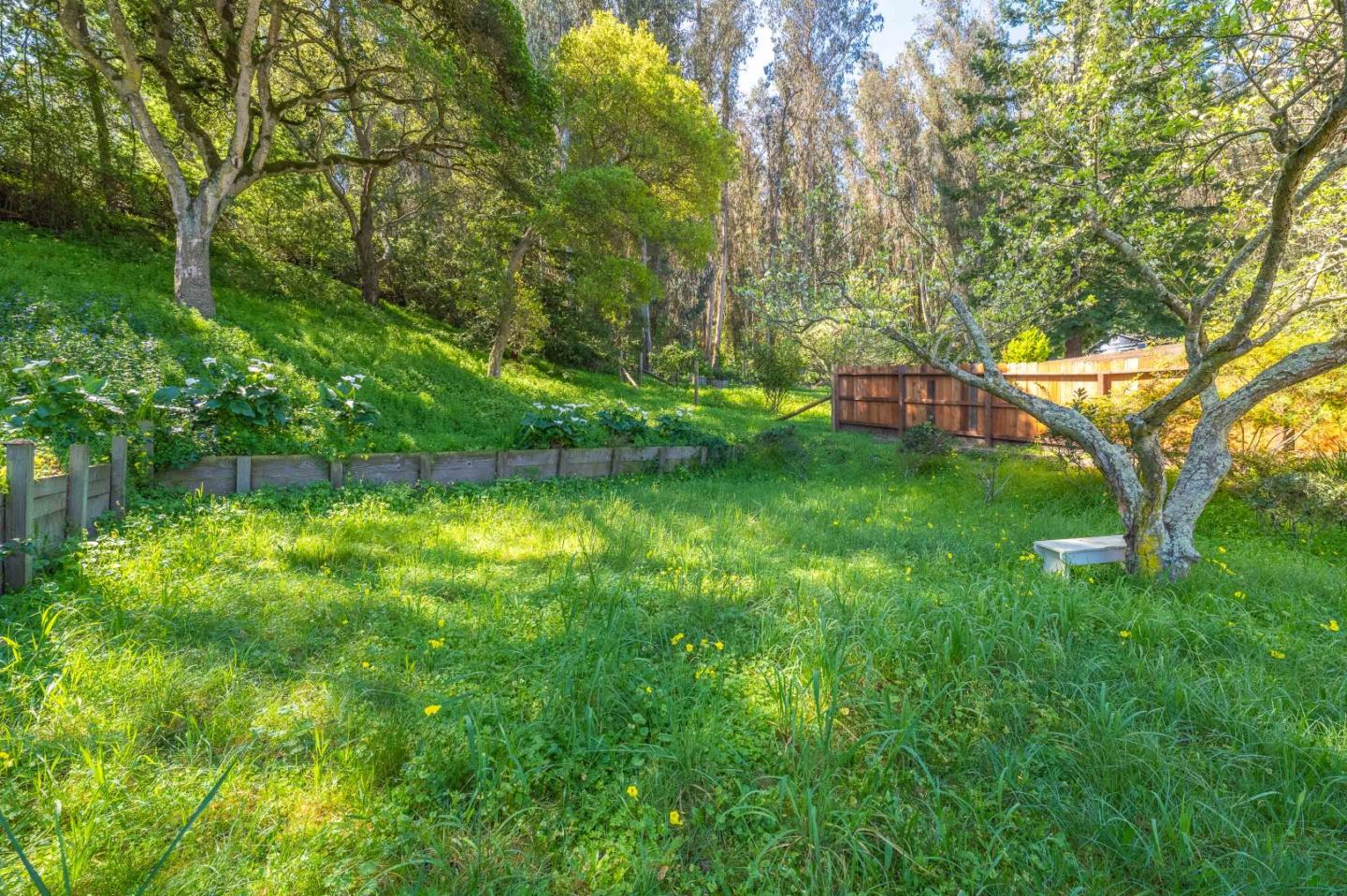 Property photo 49