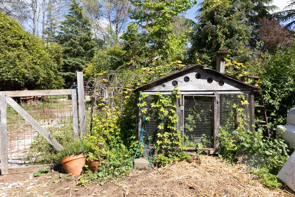 Property photo 13