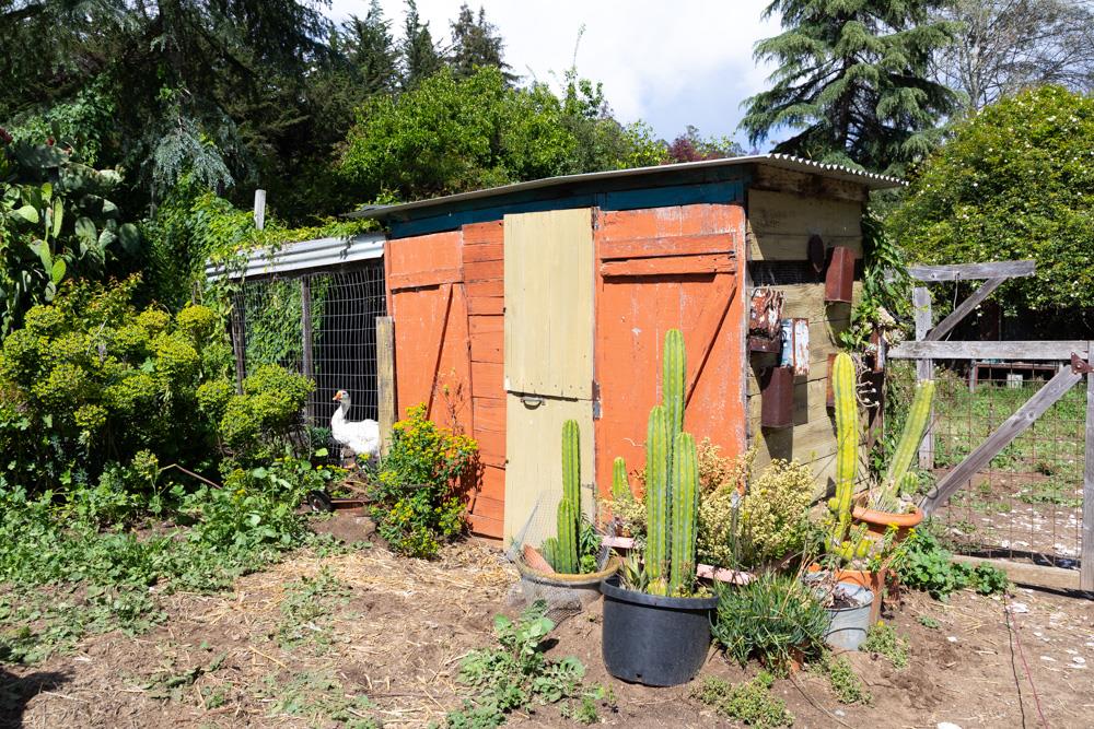 Property photo 6