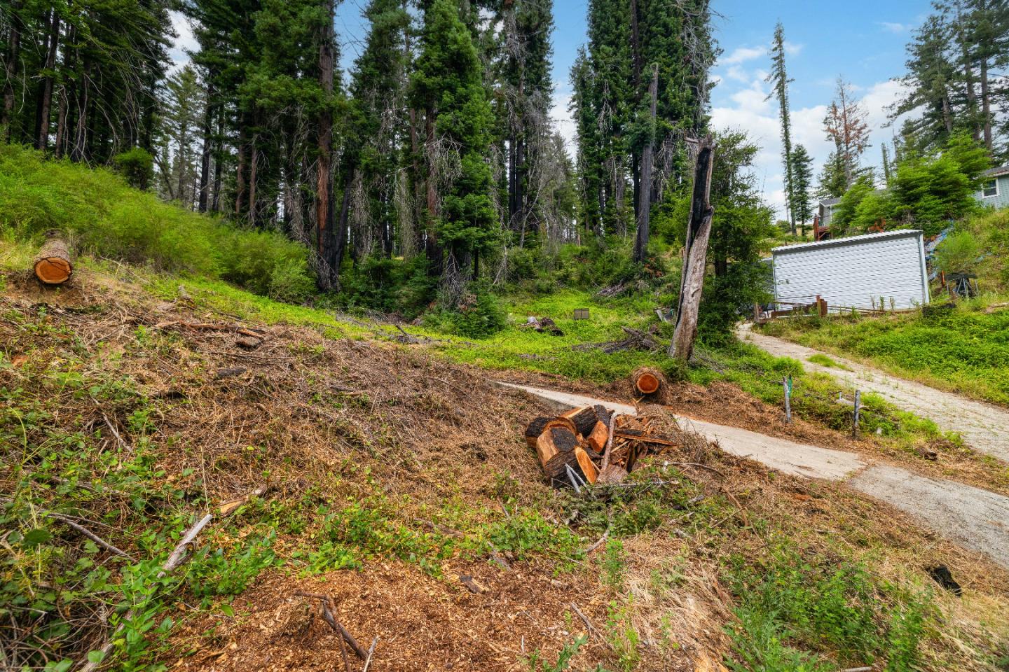 Property photo 19