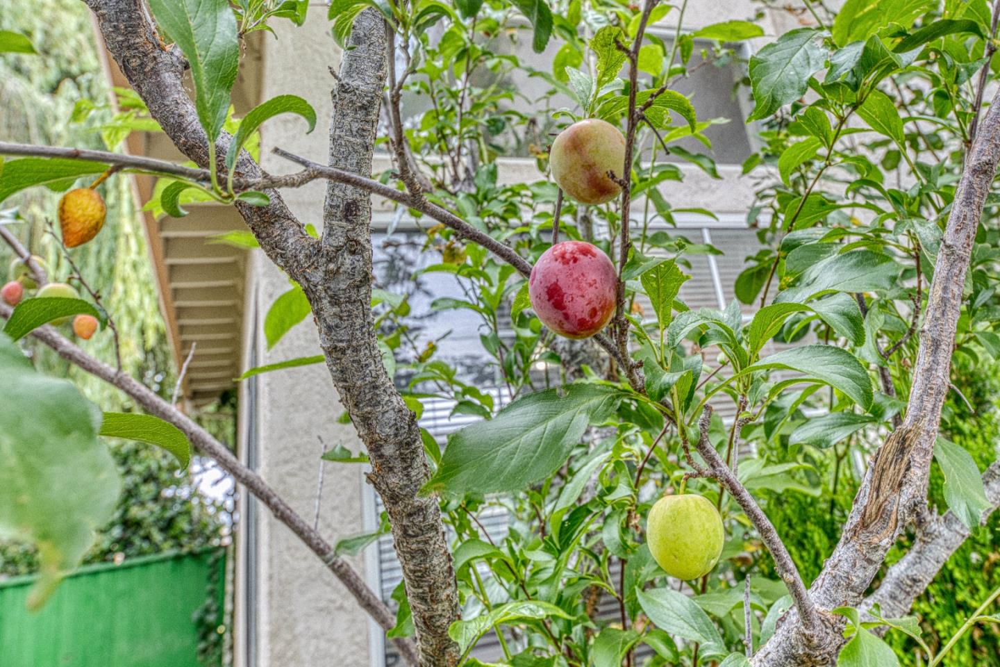 Property photo 41